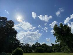 Dalvey Estate (D10), Detached #503641311